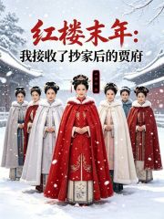 红楼末年：我接收了抄家后的贾府