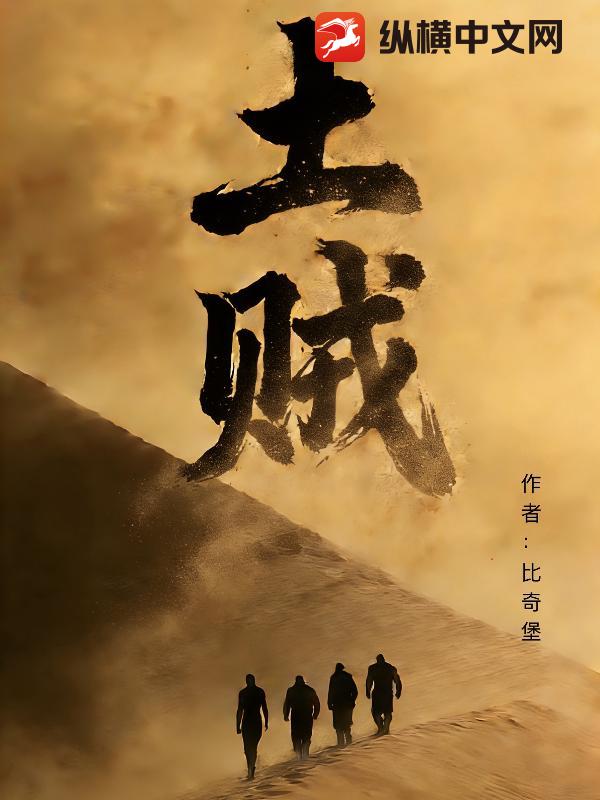 土贼